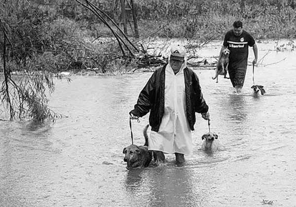 Zoonoses faz campanha para os animais resgatados no Rio Grande do Sul