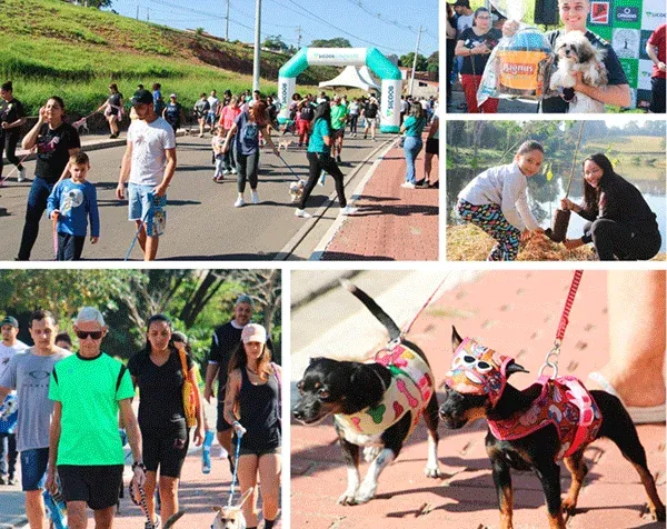 Diversos eventos celebram a Semana do Meio Ambiente