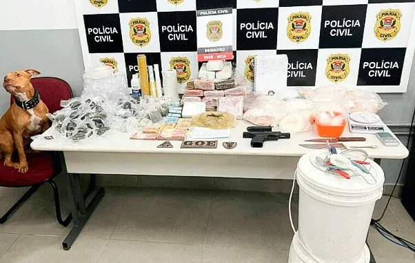 Suspeitos de tráfico de drogas nas fronteiras entre São Paulo e Paraná são presos em Porto Feliz
